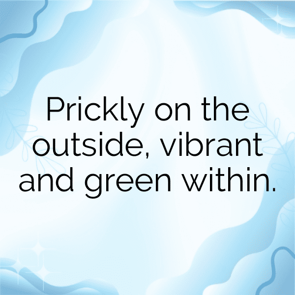 Cactus Leaf Captions Image For Instagram-pxZuqq