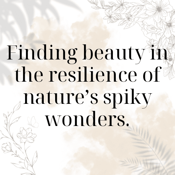 Cactus Leaf Captions Image For Instagram-ybrLLB