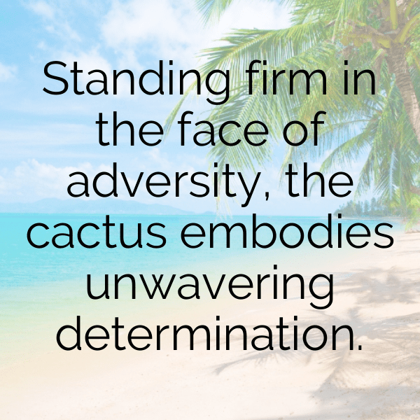 Cactus Leaf Captions Photo For Instagram-k93ZE8