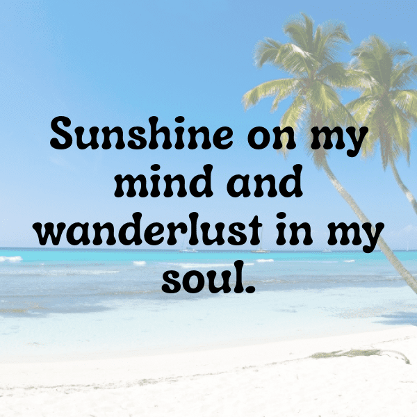 Cactus Leaf Captions Photo For Instagram-Uw4z1C