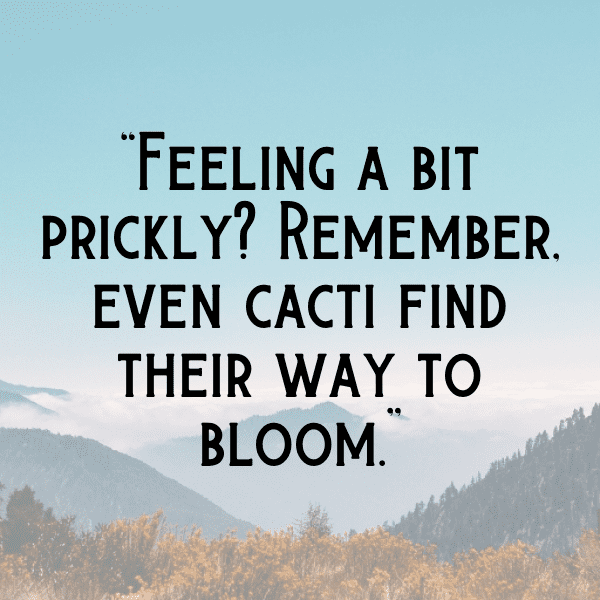 Cactus Leaf Captions Photo For Instagram-y9wQsz