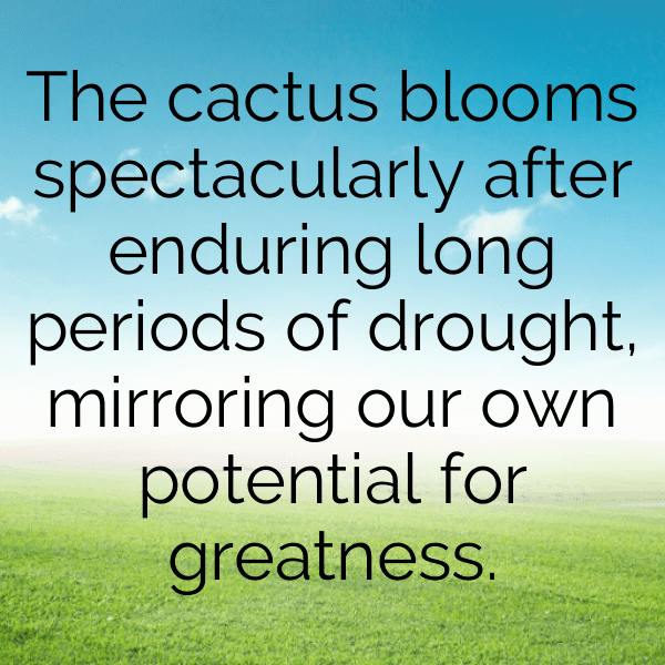 Cactus Pear Captions Image For Instagram-OYLbGK