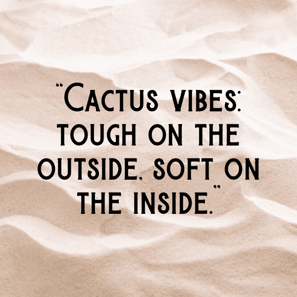 Cactus Pear Captions Image For Instagram-VK7Lhz