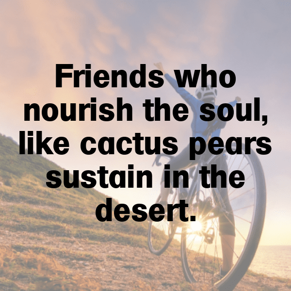 Cactus Pear Captions Photo For Instagram-liLO9s