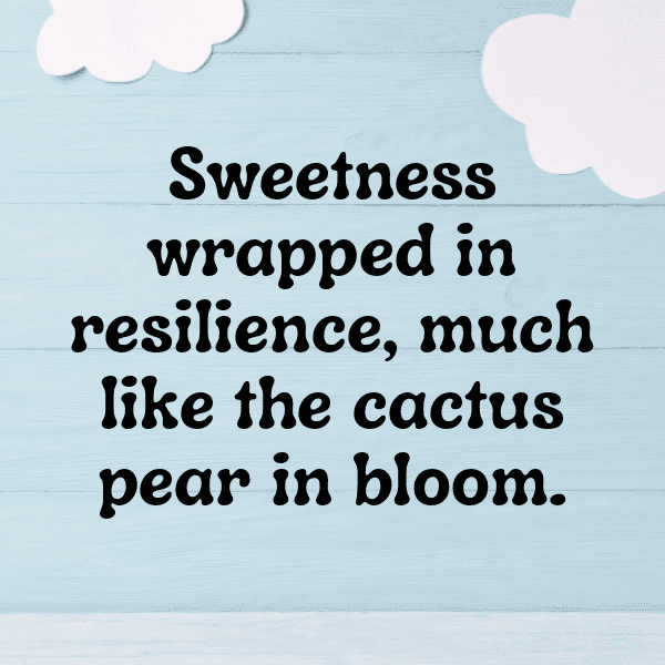 Cactus Pear Captions Photo For Instagram-tEB6lT