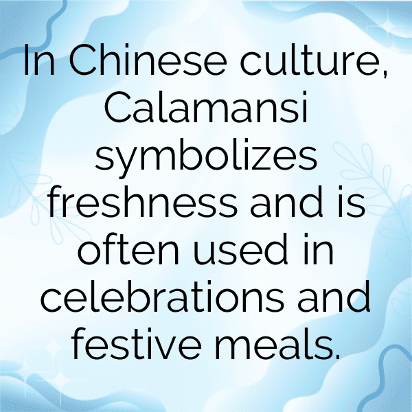 Calamansi Captions Photo For Instagram-zfjKen