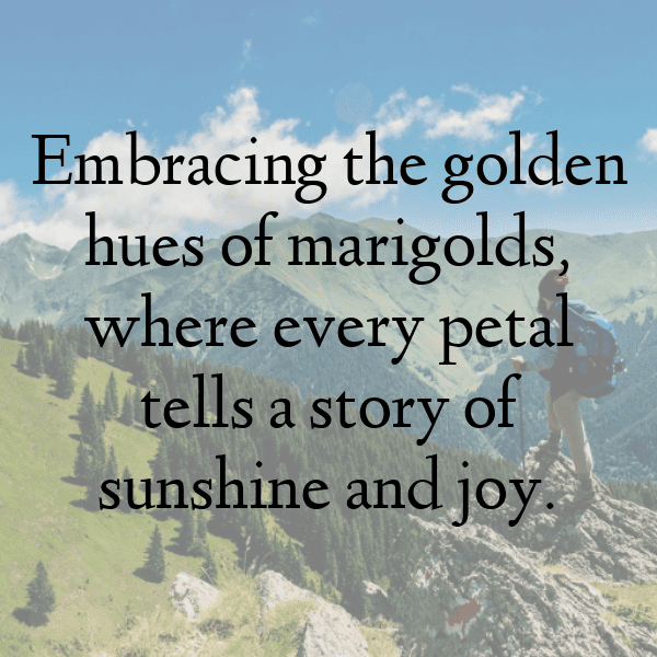 Calendula Captions Image For Instagram-xqd3me
