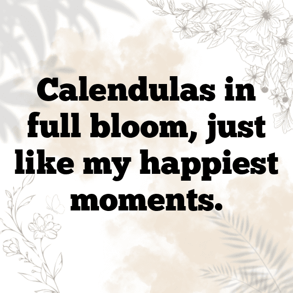 Calendula Captions Image For Instagram-xRGZaE