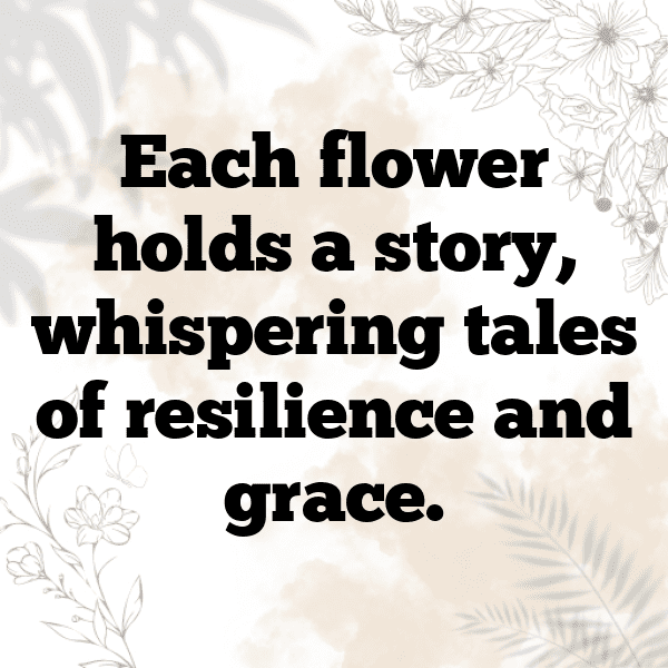 Calendula Captions Image For Instagram-yHAKNe