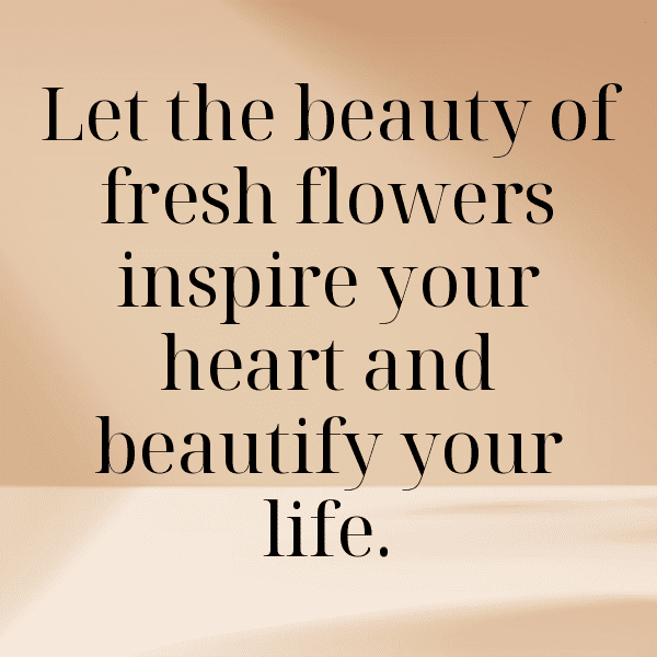 Calendula Captions Photo For Instagram-6bqOYW