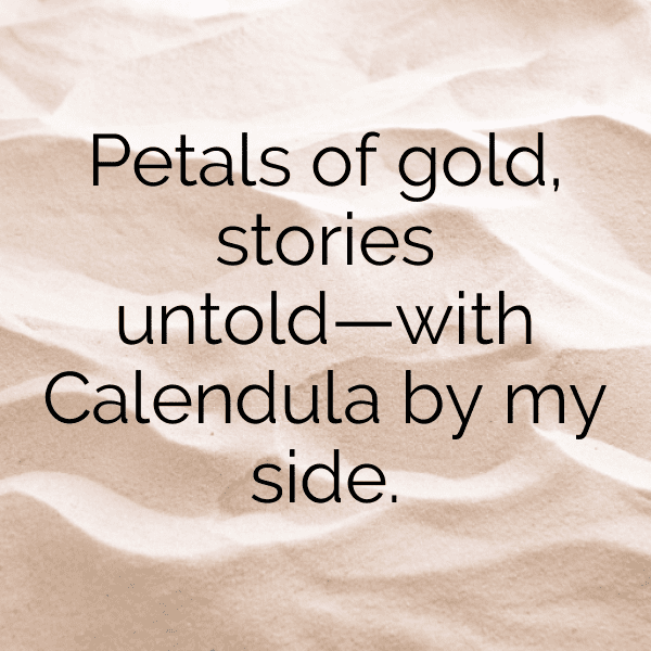 Calendula Captions Photo For Instagram-7xCr2U