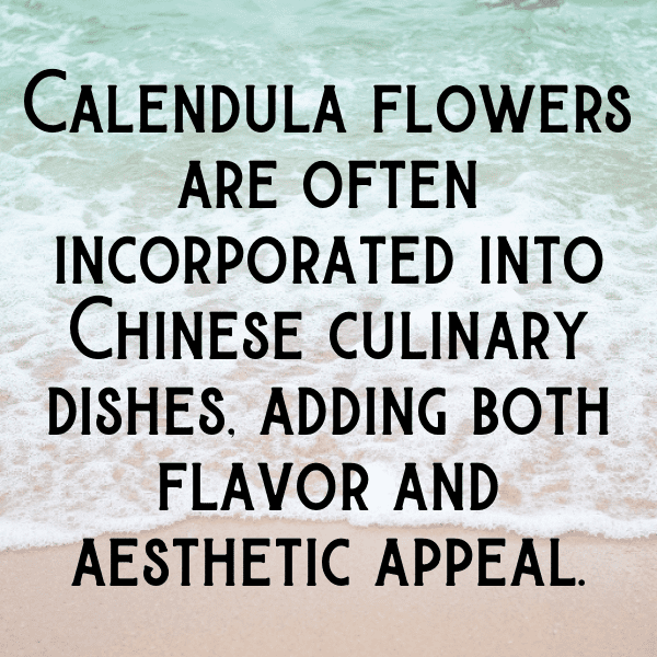 Calendula Captions Photo For Instagram-I6Ov1s