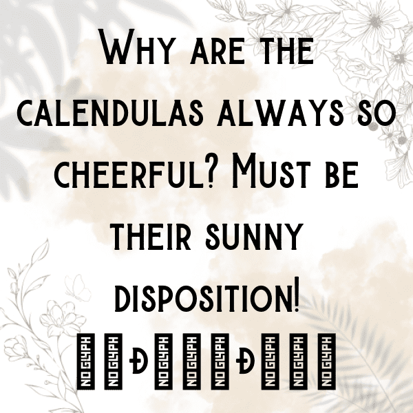 Calendula Captions Photo For Instagram-JddSrR