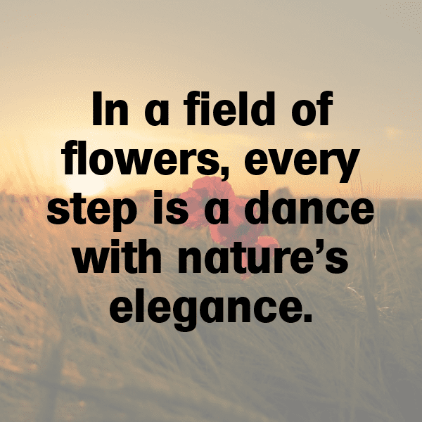 Calendula Captions Photo For Instagram-Nn0yAA