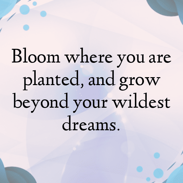 Calendula Captions Photo For Instagram-OBI2Kw