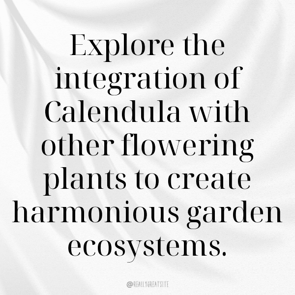 Calendula Captions Photo For Instagram-q6jhtJ