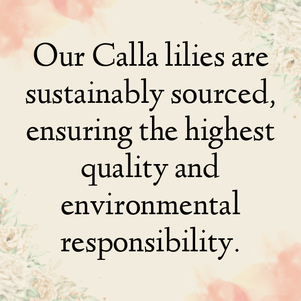 Calla Lily Captions Photo For Instagram-Z8cc7U