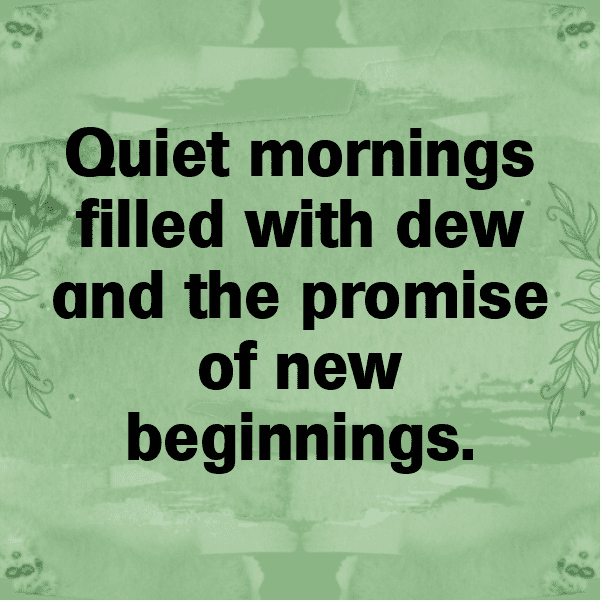 Calm Waters Captions Image for Instagram-cKytmj