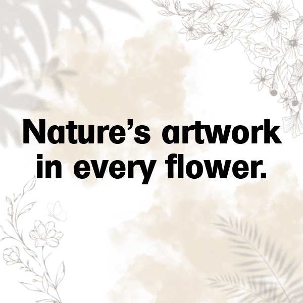 Camellia Captions Image For Instagram-u28VZQ