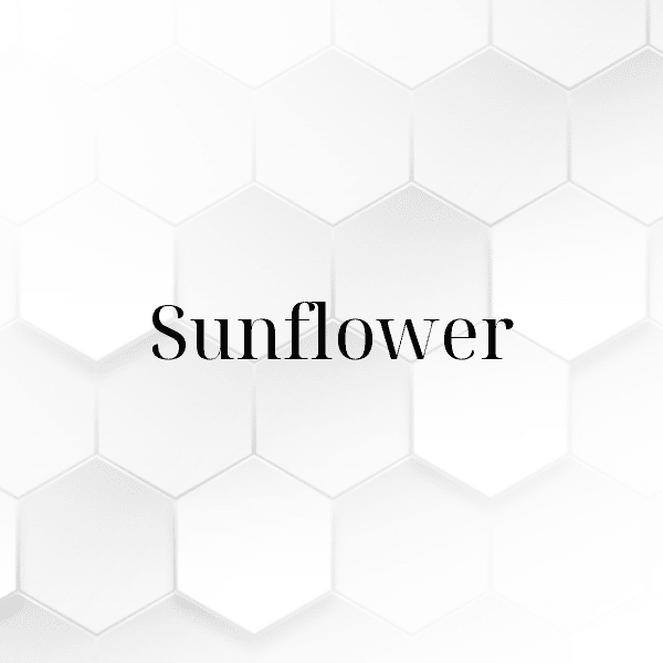 Camellia Captions Photo For Instagram-Ibjhmn