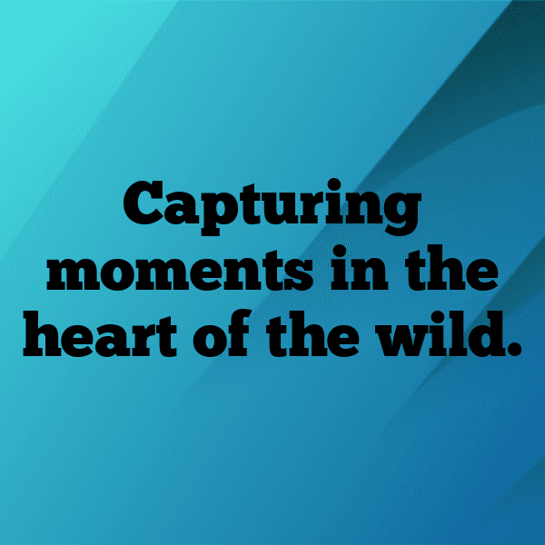 Cameroon Captions Image For Instagram-LOH8sp