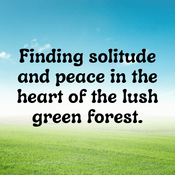 Camping Trip Captions Image for Instagram-oQGDk7