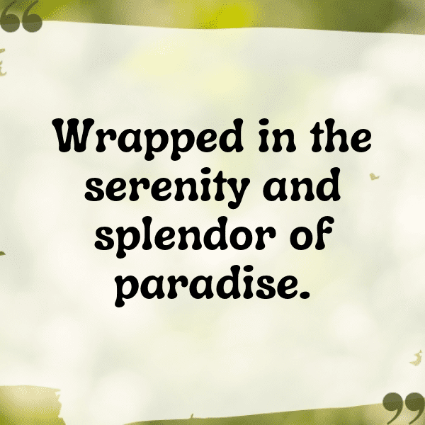 Canary Captions Image For Instagram-Kq8lxz