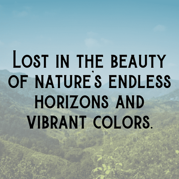 Canary Captions Image For Instagram-wQ39Lo