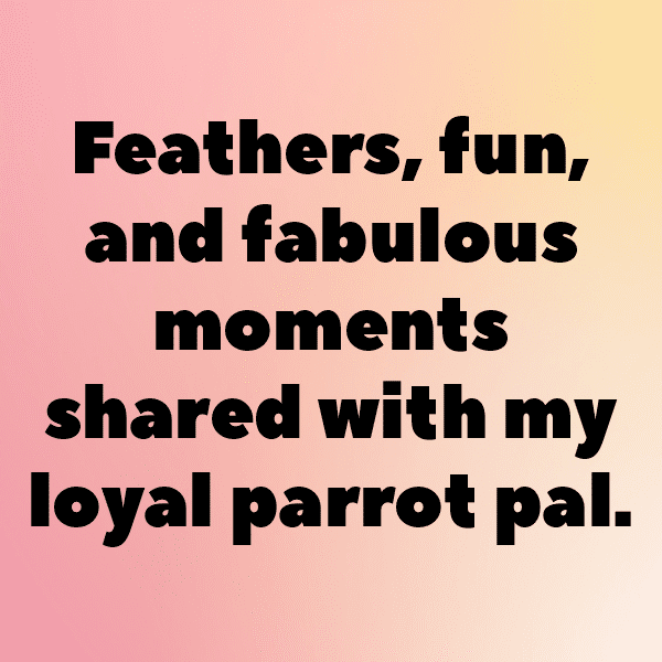 Canary Captions Photo For Instagram-3hiPED