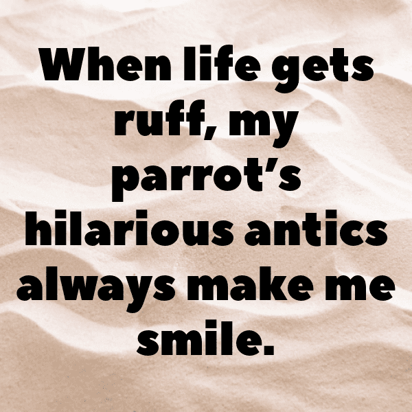 Canary Captions Photo For Instagram-DUtCj0