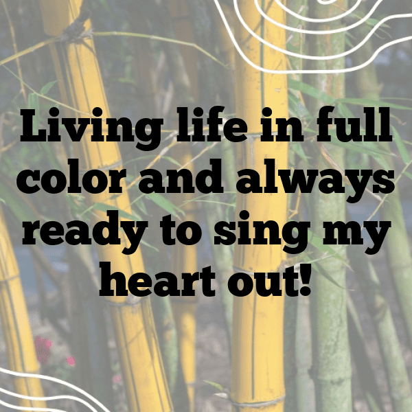 Canary Captions Photo For Instagram-ZnTBrf