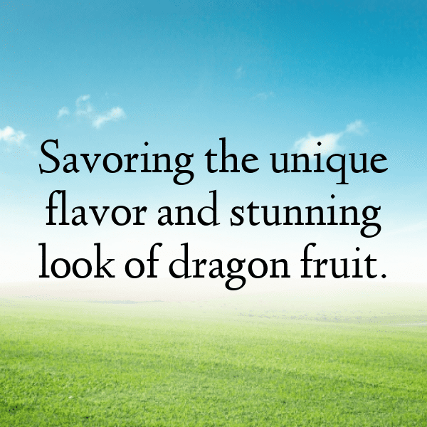 Canistel Captions Photo For Instagram-FUqz0d