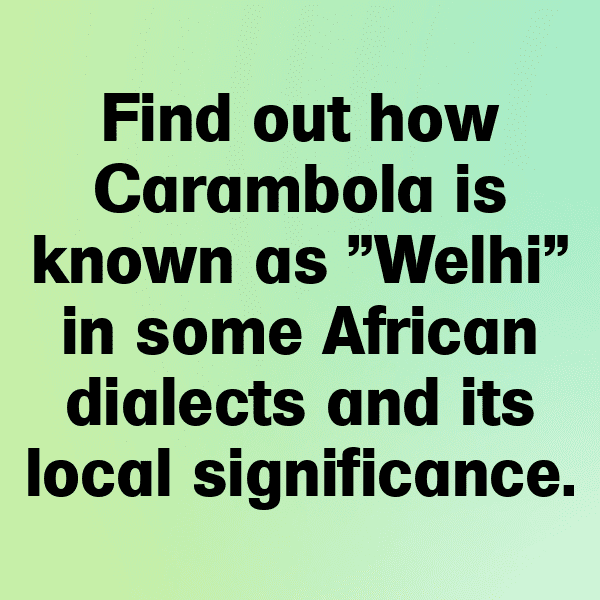 Carambola Captions Image For Instagram-AgbWH9