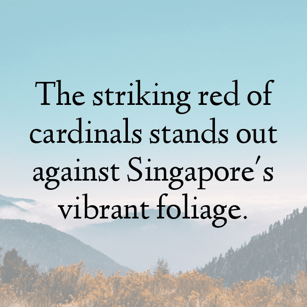 Cardinal Captions Image For Instagram-AavZIc