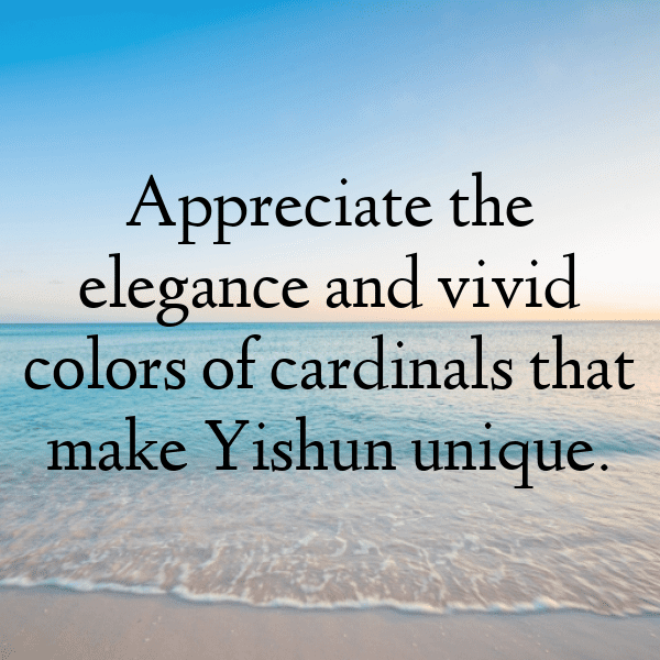 Cardinal Captions Image For Instagram-Ecm6un