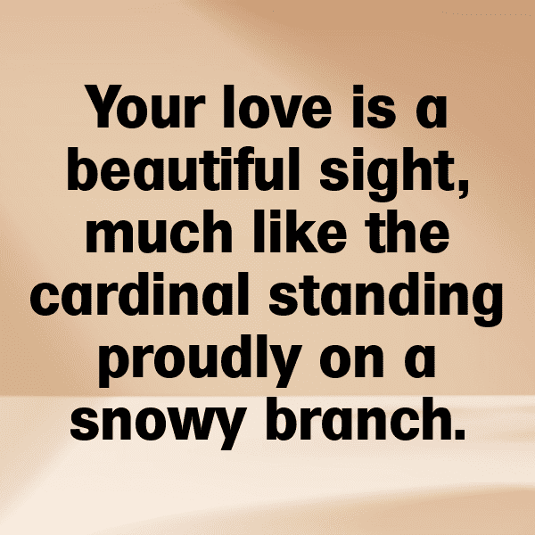 Cardinal Captions Image For Instagram-eXR9fO