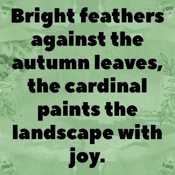 Cardinal Captions Image For Instagram-kYL90g