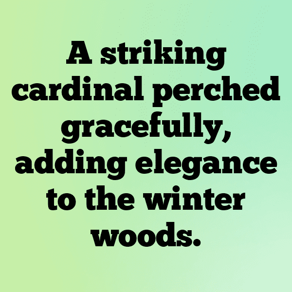 Cardinal Captions Image For Instagram-RN5nVU