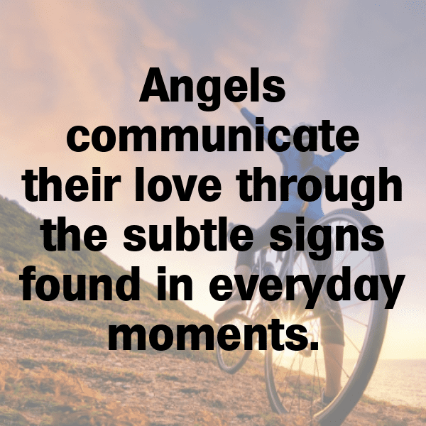 Cardinal Captions Image For Instagram-SuRKm8