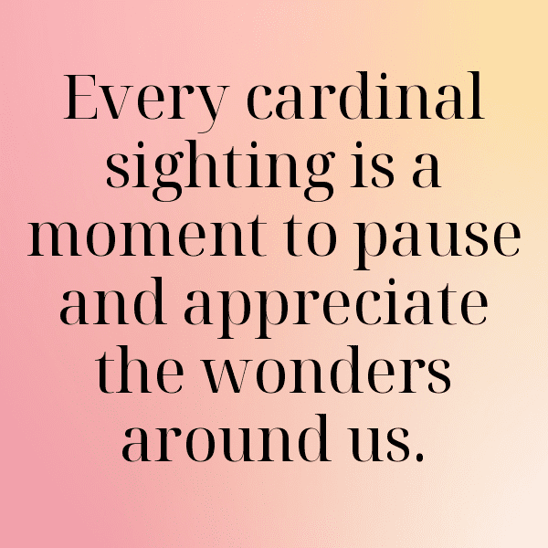 Cardinal Captions Image For Instagram-XNa5qp