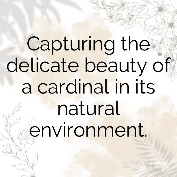Cardinal Captions Photo For Instagram-3oYbj0