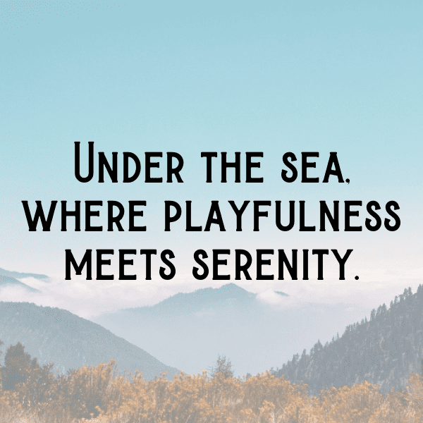 Cardinal Captions Photo For Instagram-6SdU7j