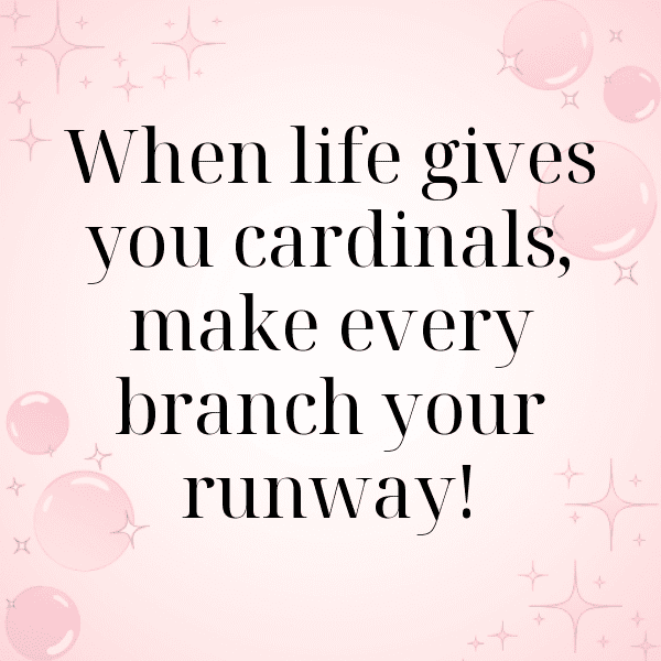 Cardinal Captions Photo For Instagram-D0qToo