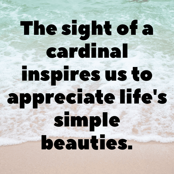 Cardinal Captions Photo For Instagram-Oqix3y