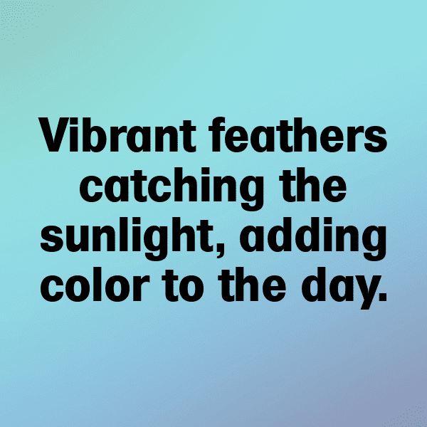 Cardinal Captions Photo For Instagram-zLtGWV