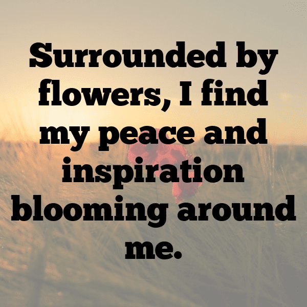 Carnation Captions Image For Instagram-60R0Yo