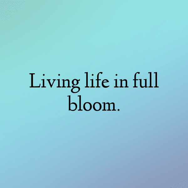 Carnation Captions Image For Instagram-cu3ZmI