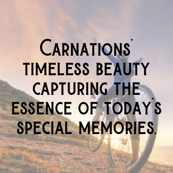 Carnation Captions Image For Instagram-WCrNDZ