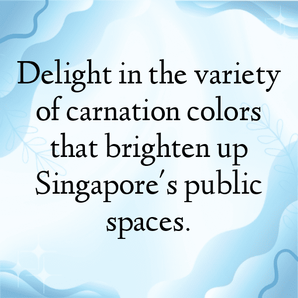 Carnation Captions Photo For Instagram-zTH7V3