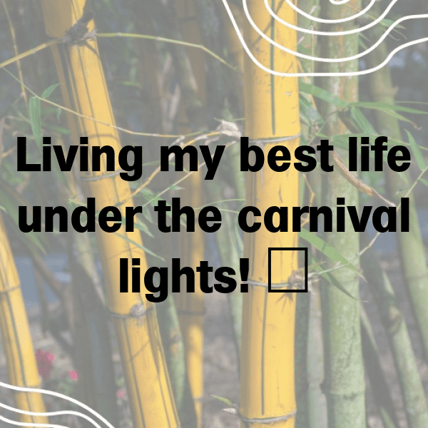 Carnival Captions Image for Instagram-qVps5x